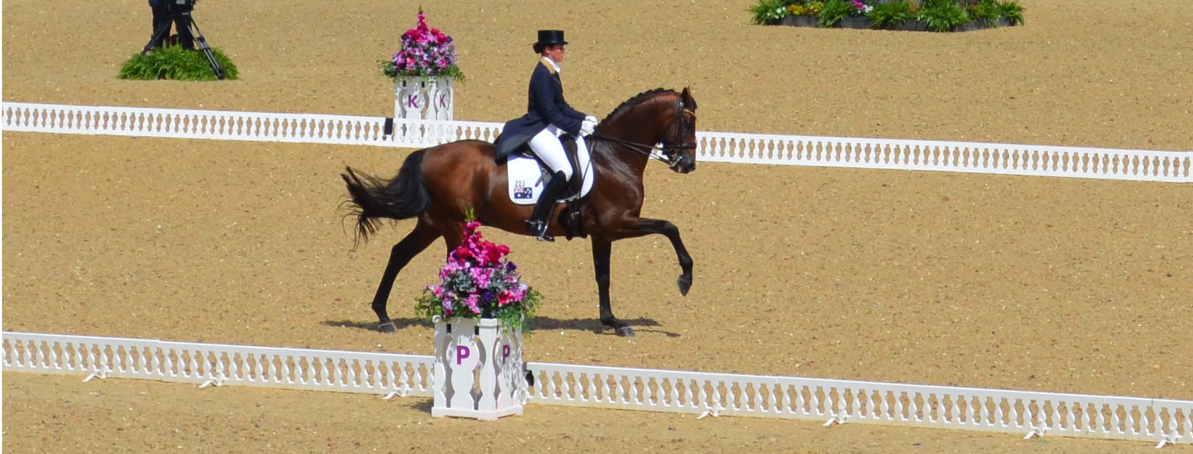 Dressage Movements Equestrian Australia